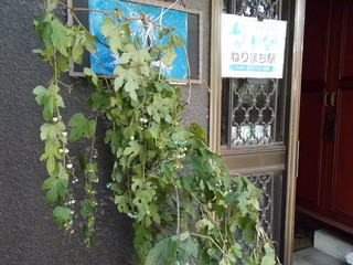 DSCN4431.JPG