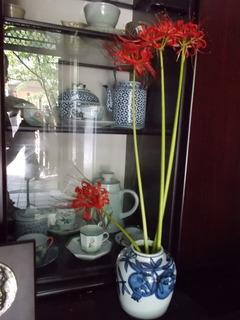 DSCN4440.JPG