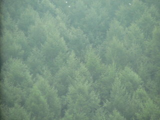 P1250810.JPG